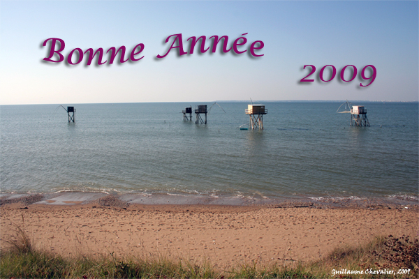 bonne-annee-2009